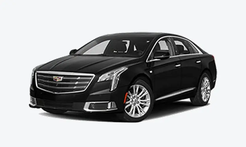 Business Sedan