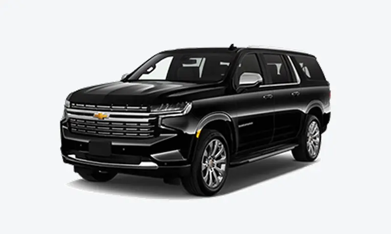 Business SUV / Van