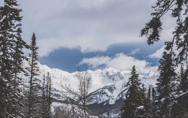Scenic view of snow-covered mountains and trees in Telluride, Colorado during winter.