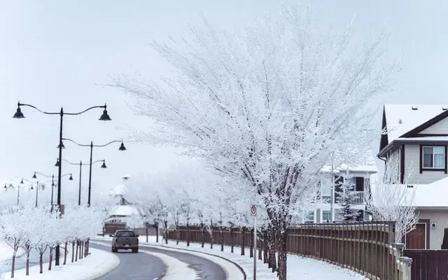 A serene snowy street scene in Calgary capturing a winter wonderland with frosted trees.