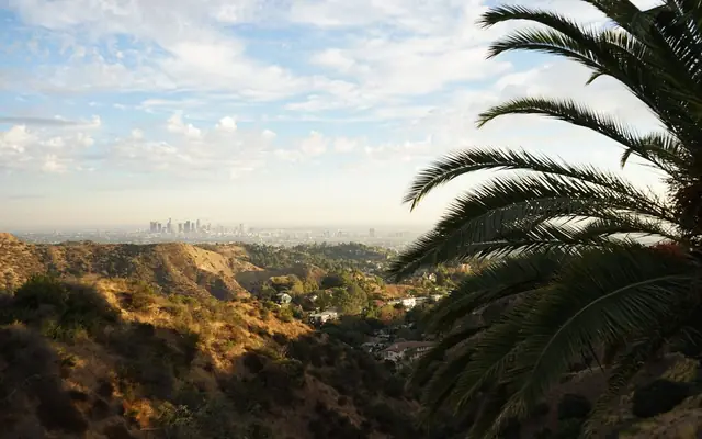 A stunning view of Los Angeles skyline from a hilltop with palms and clear sky.