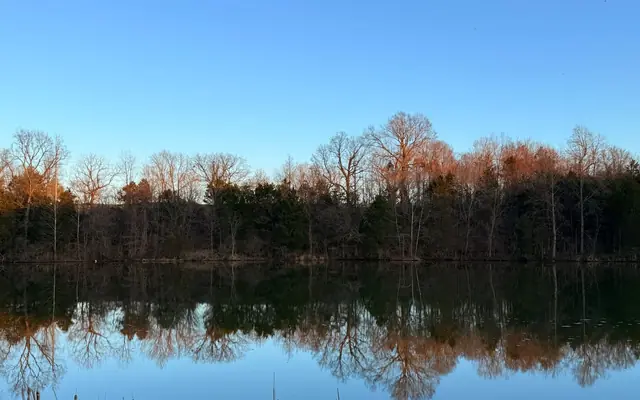 Tranquil winter scene at a lake in Louisville, Kentucky with clear reflections of bare trees.