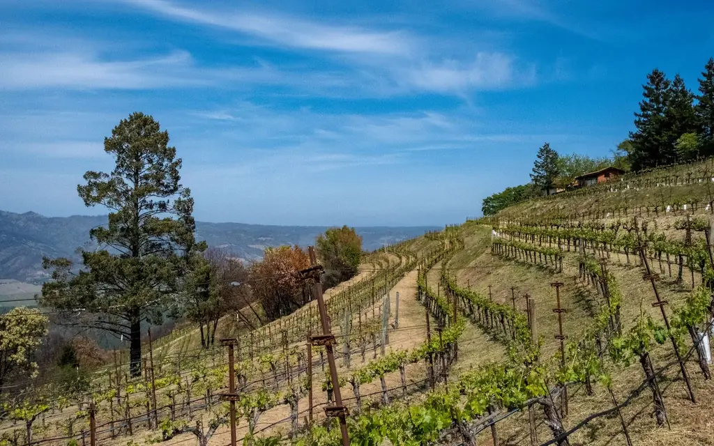 Napa Valley
