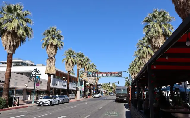 A bright Palm Springs street featuring iconic palm trees under a clear sky.