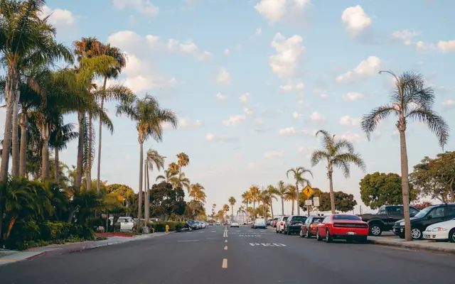 Scenic view of a palm-lined street in San Diego with parked cars and a clear sky.