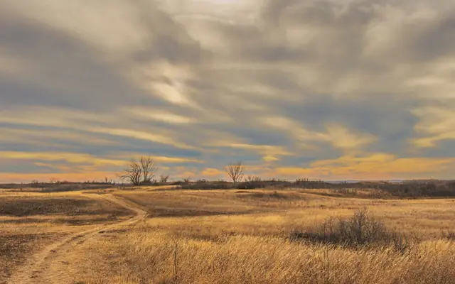 Serene prairie landscape in Saskatoon, Canada with vibrant sunset hues and wispy clouds.