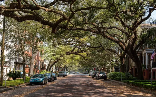 A picturesque view of a historic street lined with oak trees and classic architecture in Savannah, Georgia.