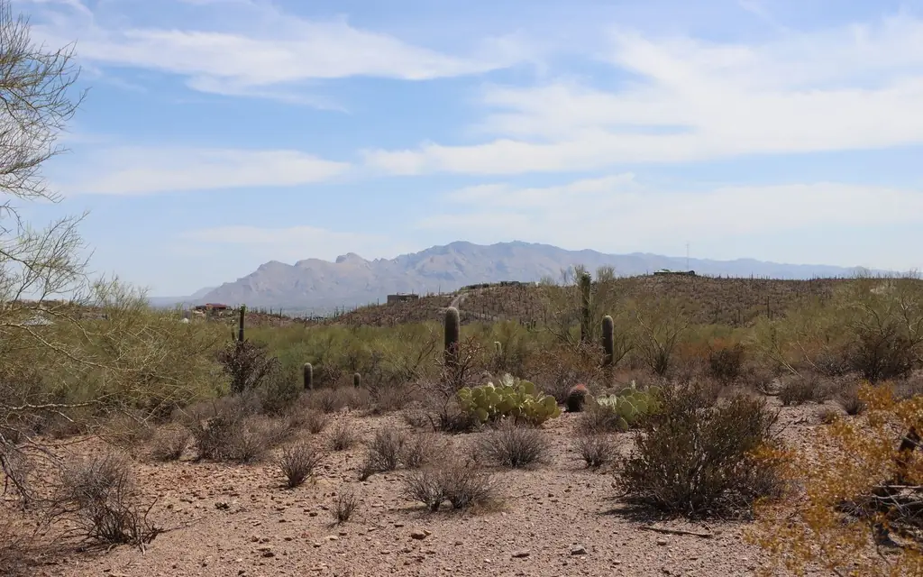 Tucson