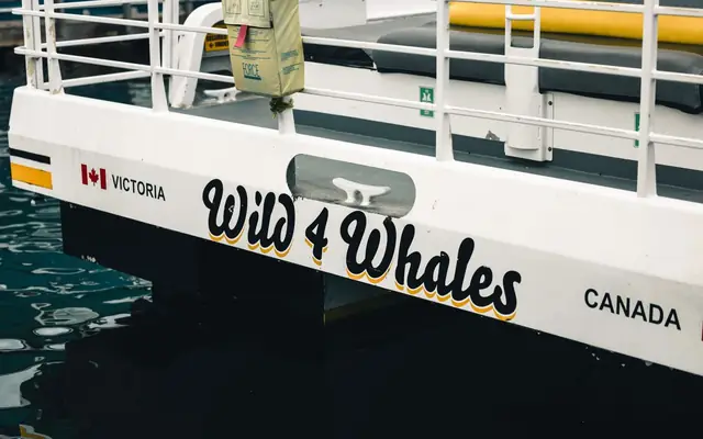A close-up view of the 'Wild 4 Whales' boat in Victoria, British Columbia, Canada, offering a whale watching adventure.