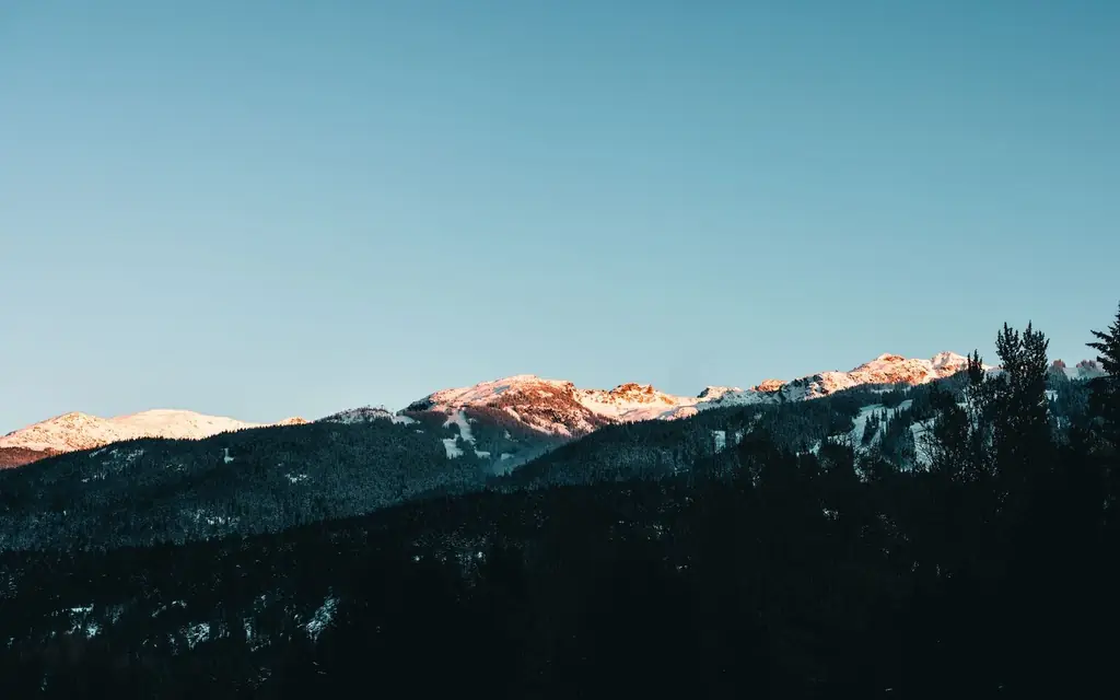 Whistler
